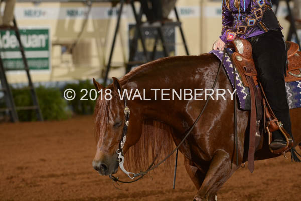 876 DB18p3F,4-031