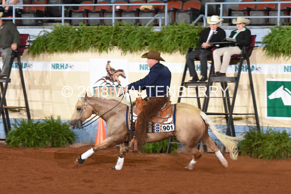 901 DB18p3F,3-052