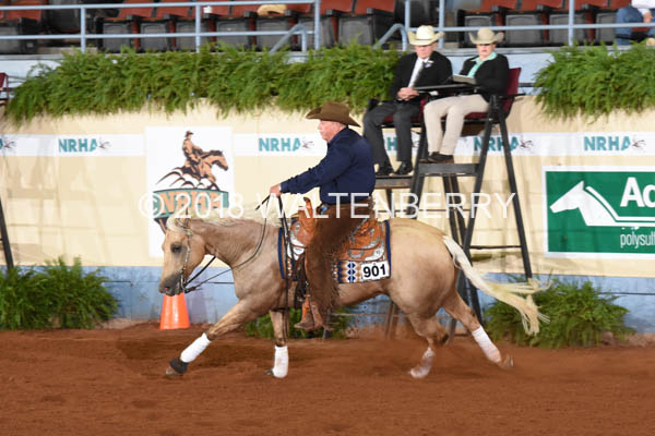 901 DB18p3F,3-054