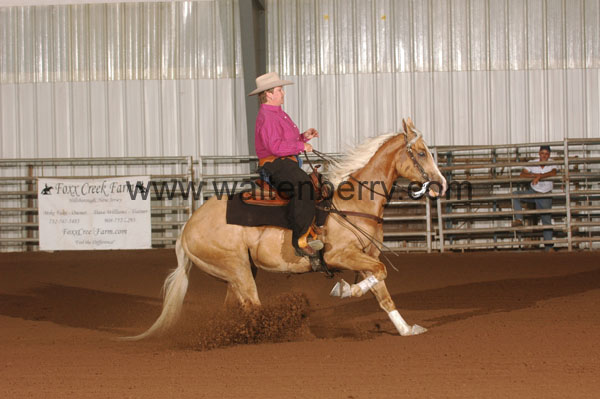 1192 FC08p14B.2- 003