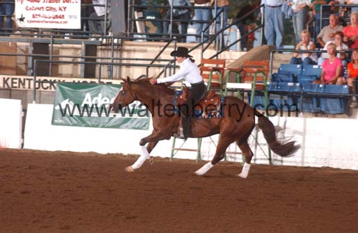 Sally FP05p hunter.2- 029