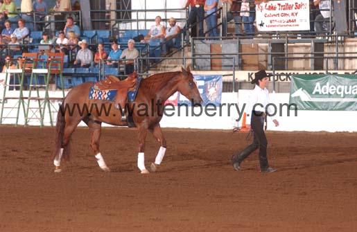 Sally FP05p hunter.2- 033