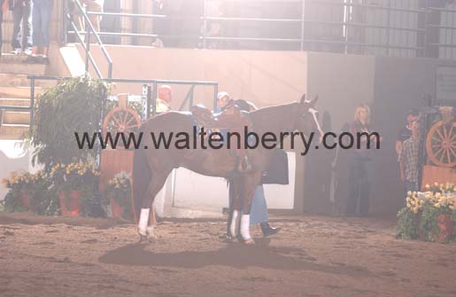 Sally FP05p hunter.2- 035