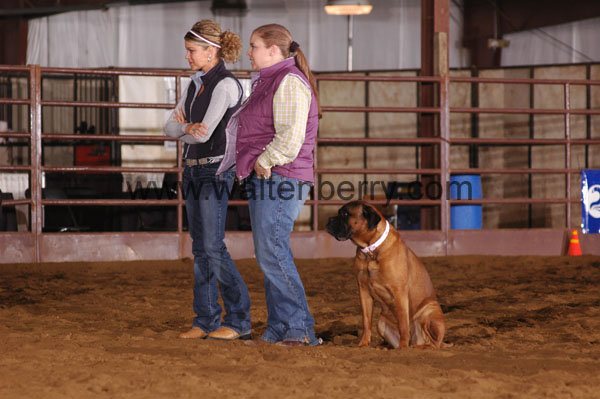 GV07pDogs- 008