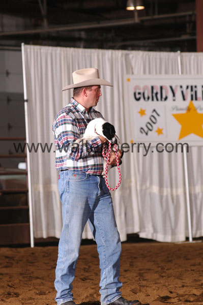 GV07pDogs- 010