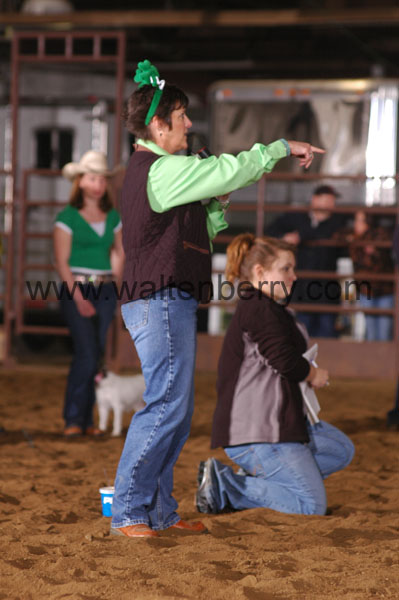 GV07pDogs- 016