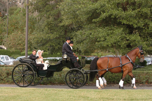 wedding.2- 069