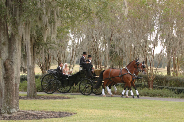 wedding.2- 076