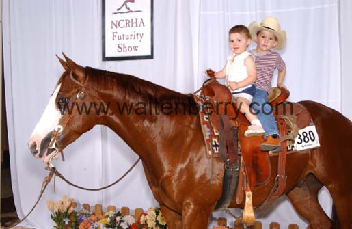 hendrickson NC05pAW.4- 005