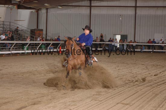 018 NH06p17A.2- 012