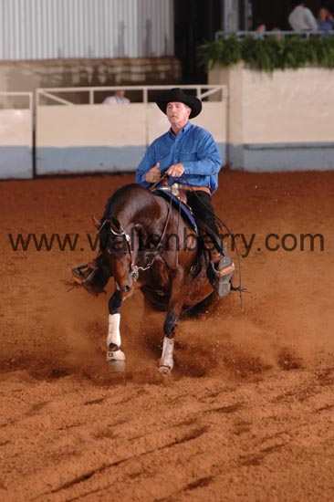 1113 NR06p12,2- 042