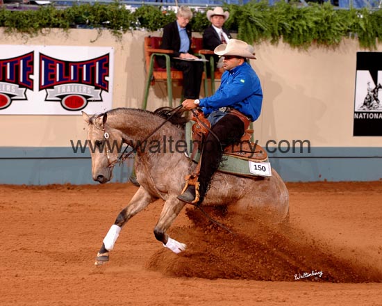 150 NR06p1A,3- 101 barral