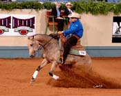 150 NR06p1A,3- 101 barral