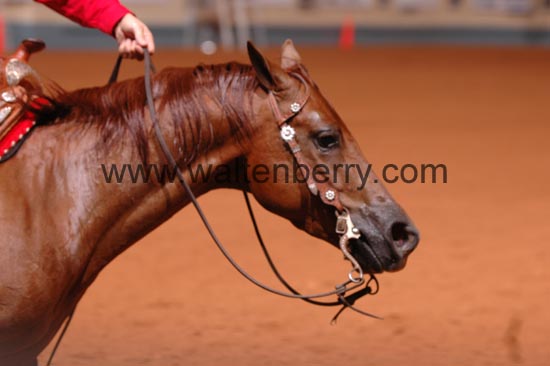 293 NR06p1F,6- 168