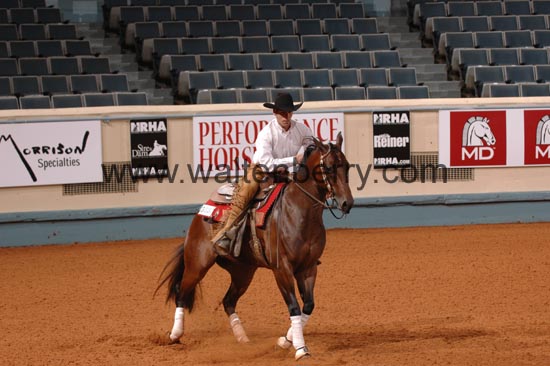 388 NR06p1D.1,1- 002