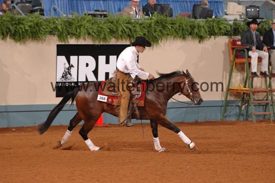 388 NR06p1D.1,1- 006