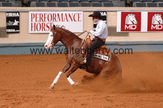 396 NR06p1D.1,1- 058