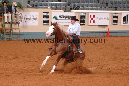 396 NR06p1D.1,1- 060