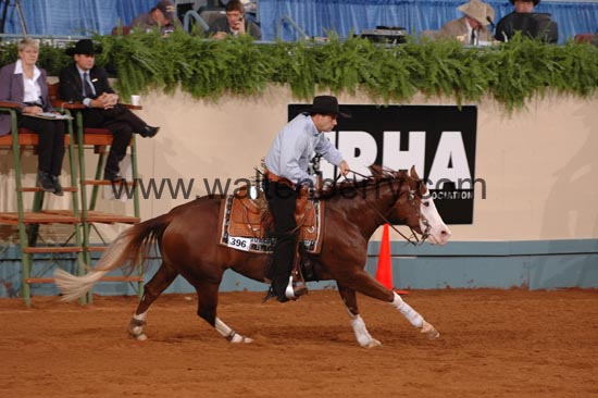 396 NR06p1D.1,1- 062