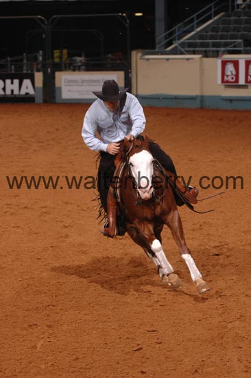 396 NR06p1D.1,1- 064