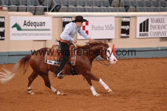 396 NR06p1D.1,1- 065