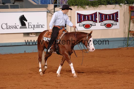 396 NR06p1D.1,1- 067