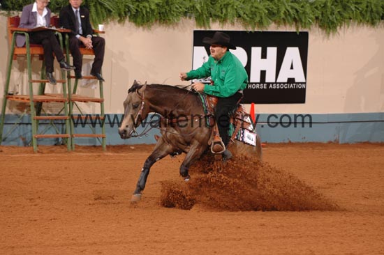 401 NR06p1D.1,1- 115