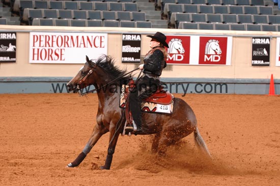 418 NR06p1D.1,1- 237