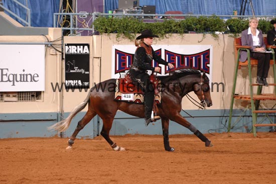 418 NR06p1D.1,1- 244