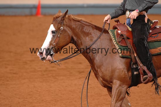 420 NR06p1D.1,1- 259