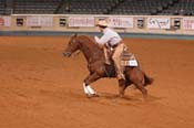 663 NR06p3F,5- 231