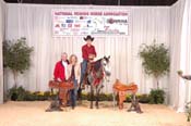 688 NR06pAW,4- 006
