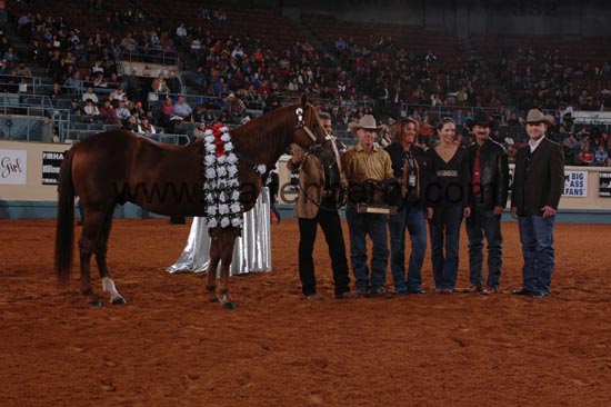 boomernic NR06p1F,1- 012