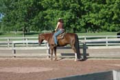 horse PV06p12- 007