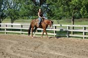 horse PV06p12- 008