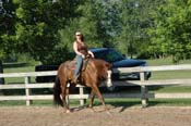 horse PV06p12- 009