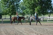 horse PV06p12- 010