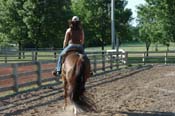 horse PV06p12- 011