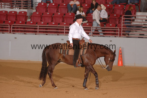 391 SN09p14A.2 - 088