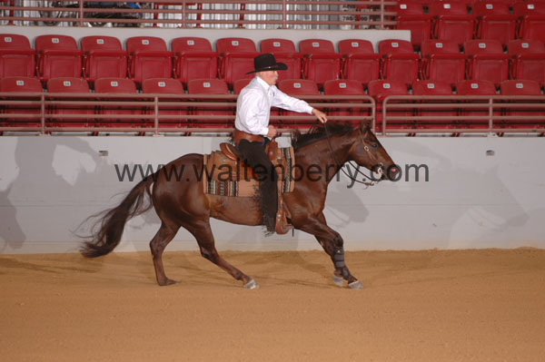 391 SN09p14B.1 - 001