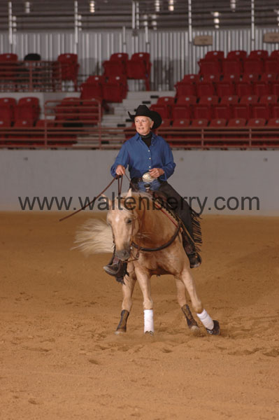 406 SN09p14A.2 - 114