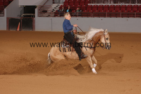 406 SN09p14A.2 - 118