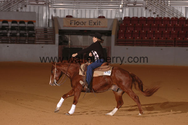 410 SN09p14A.2 - 018