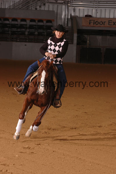 410 SN09p14A.2 - 020