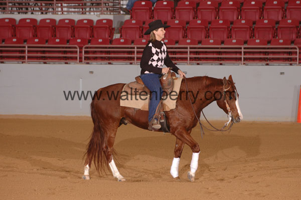 410 SN09p14A.2 - 023