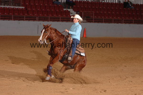 410 SN09p29A.2 - 021