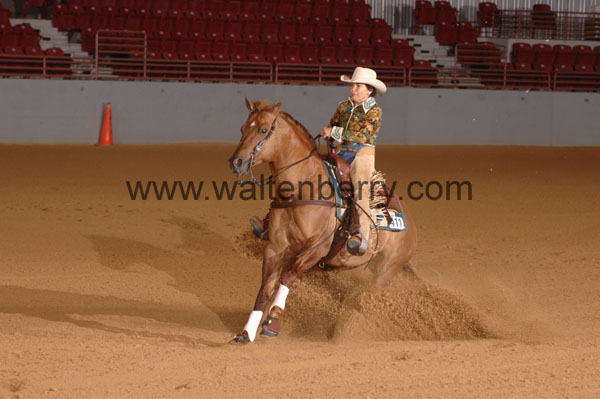 411 SN09p14B.1 - 056