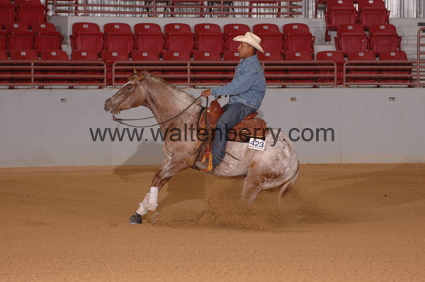 423 SN09p29A.2 - 033