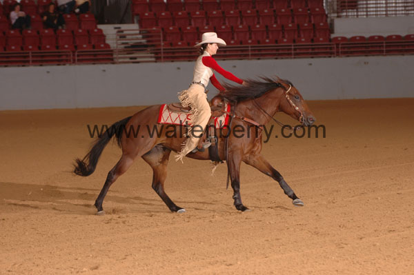 425 SN09p14B.2 - 013