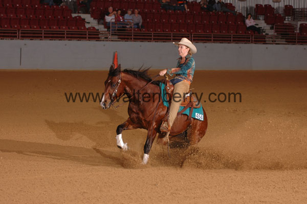 454 SN09p14B.2 - 075